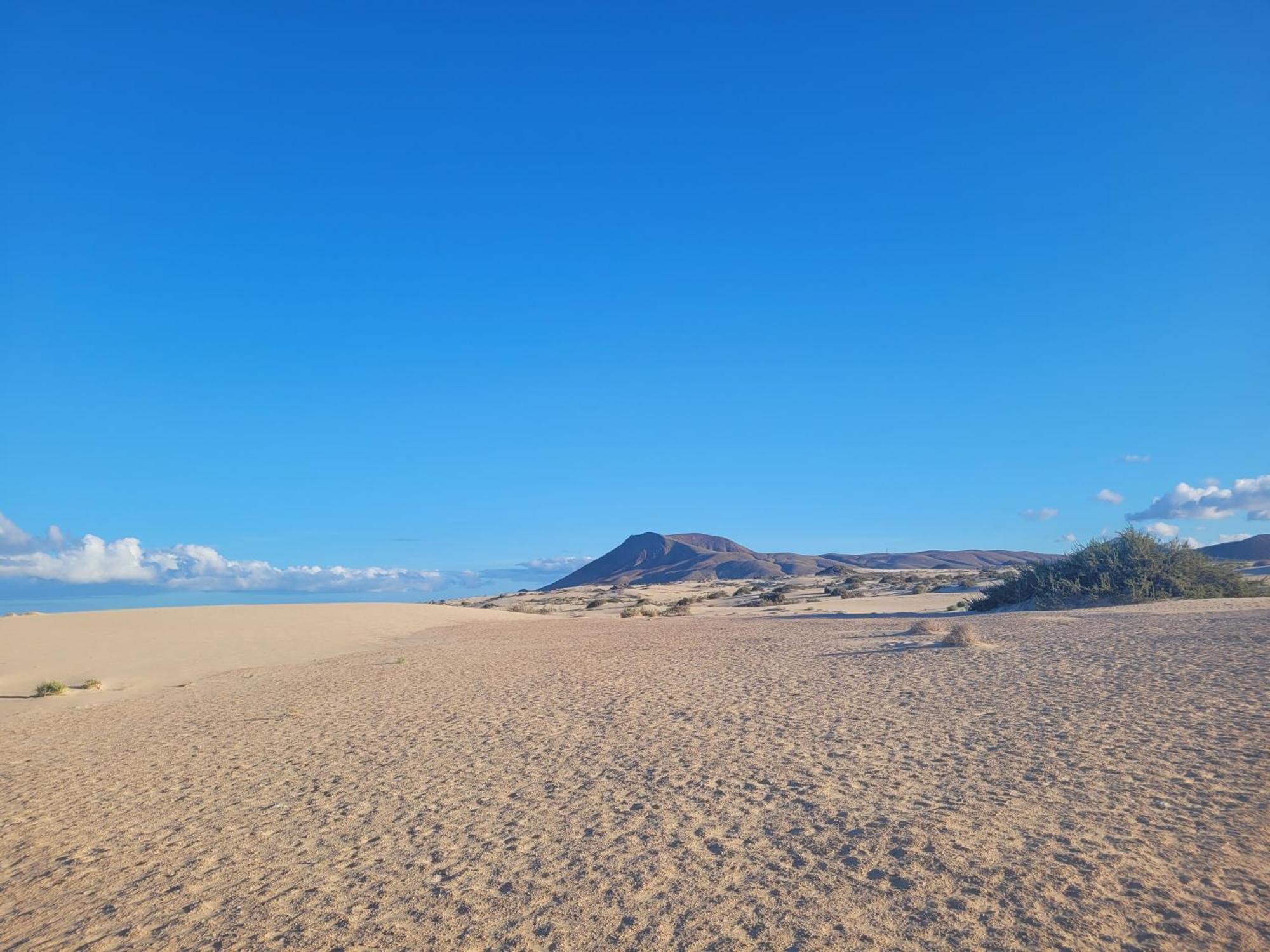 Casa Alma Daire Corralejo Dış mekan fotoğraf